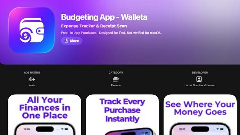 Budgeting App application interface and features